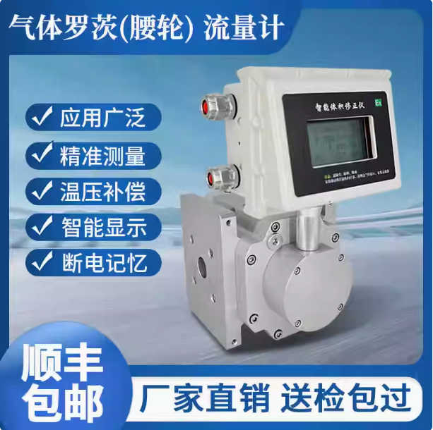 LLQ-40氣體羅茨腰輪流量計...