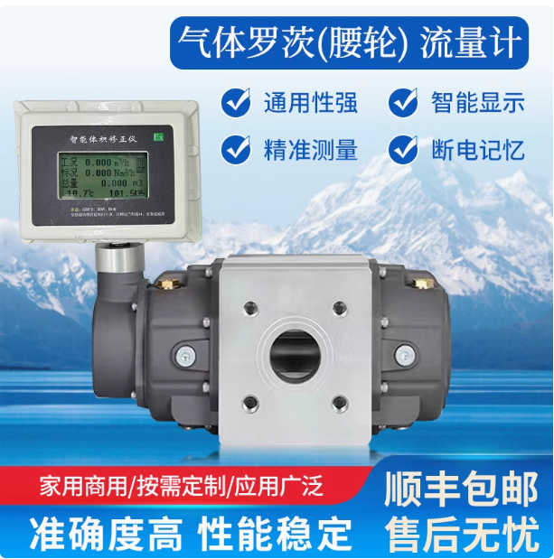 LLQ-50氣體羅茨腰輪流量計