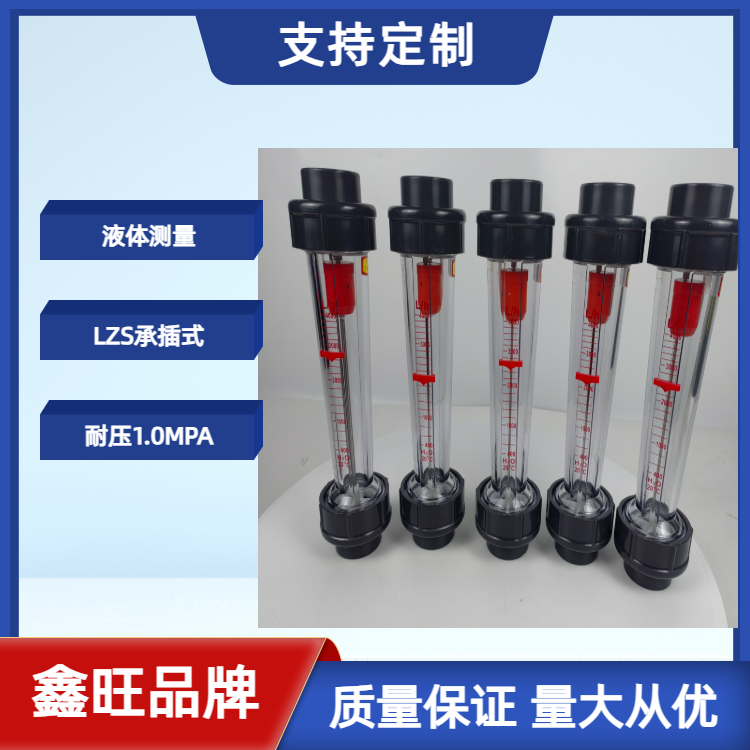 LZS-80塑料管浮子流量計